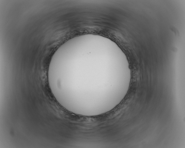 X0000113261109200910081333