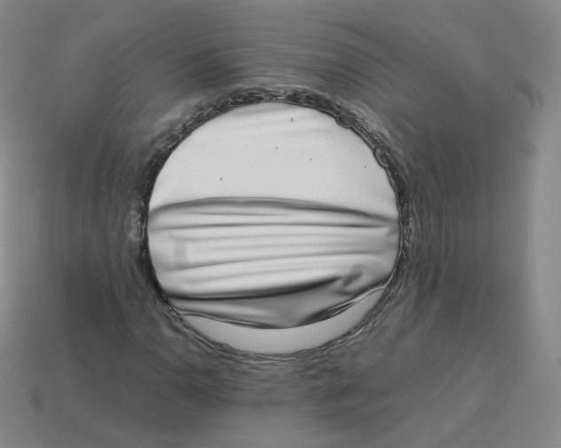 X0000113261110200910081333