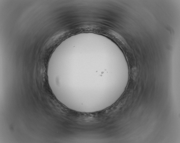 X0000113261111200910081333