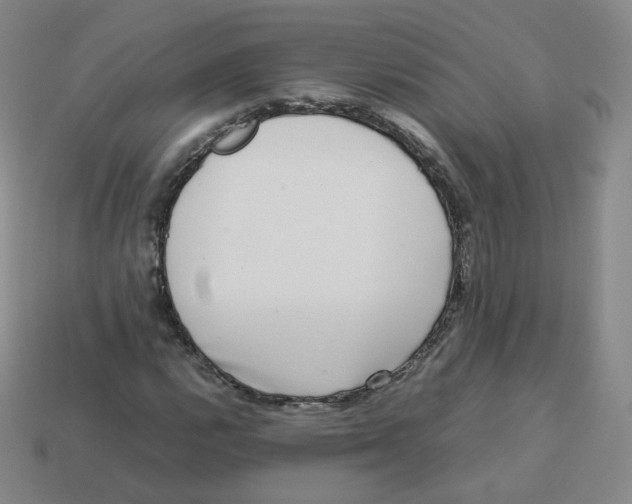 X0000113261112200910081333
