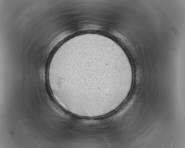 X0000113261113200910081333