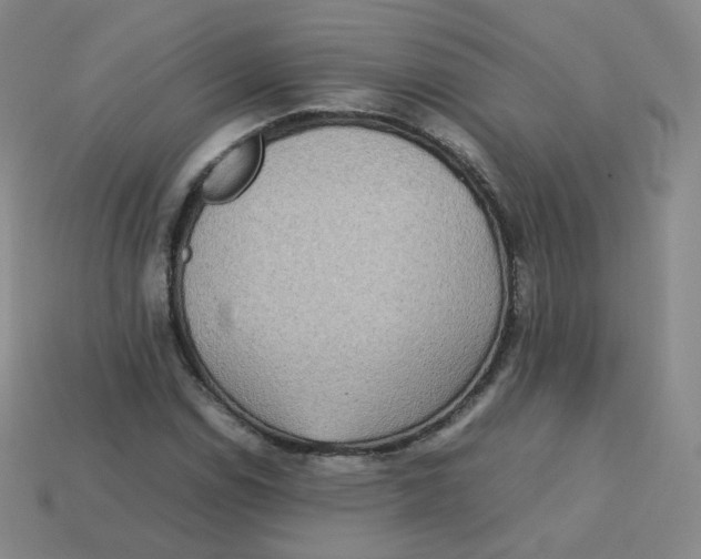 X0000113261114200910081334
