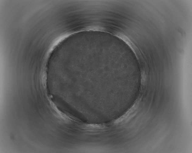 X0000113261115200910081334