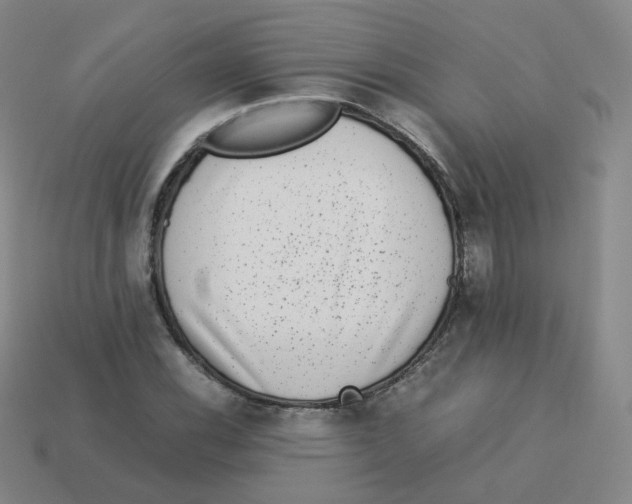 X0000113261116200910081334
