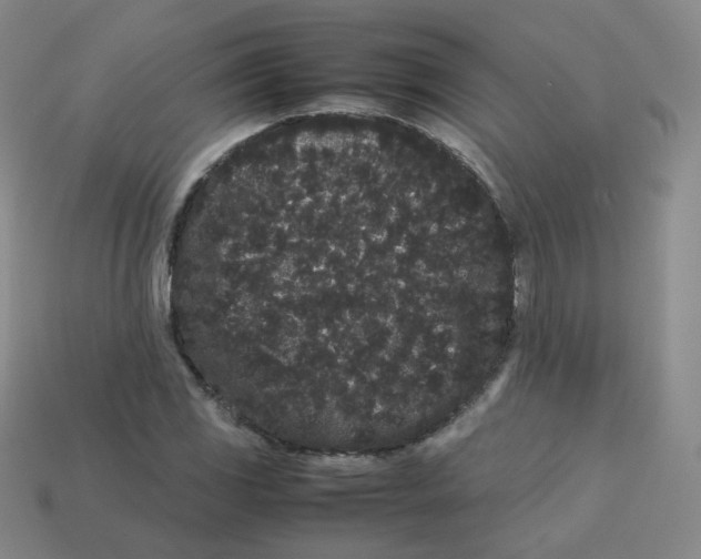 X0000113261117200910081334