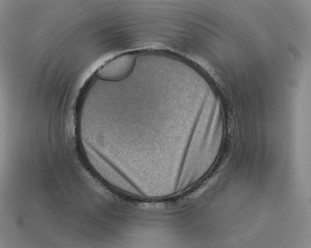 X0000113261118200910081334