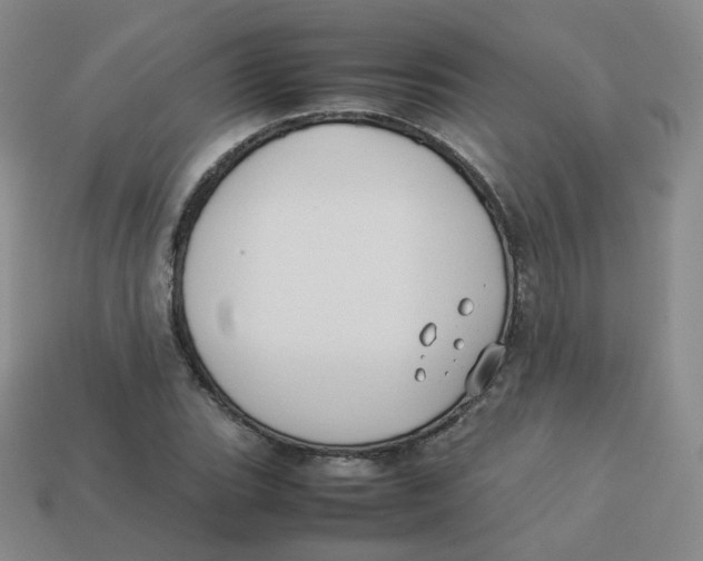 X0000113261119200910081334