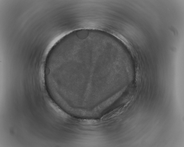 X0000113261120200910081334