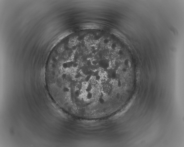 X0000113261121200910081334