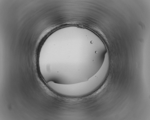 X0000113261122200910081334