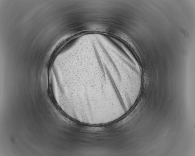 X0000113261123200910081334