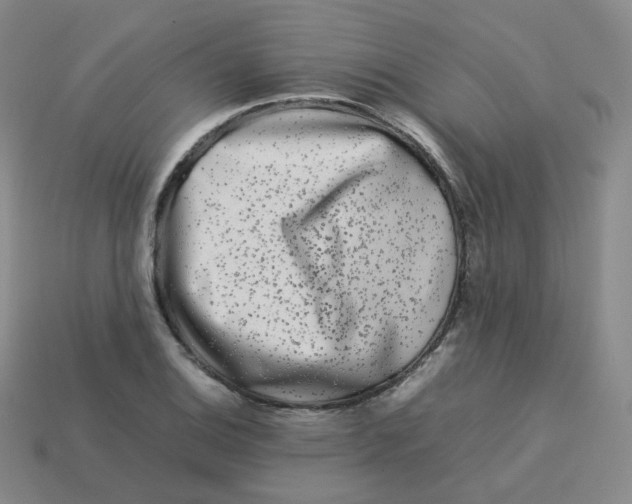X0000113261124200910081334