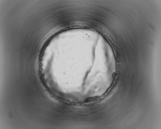 X0000113261125200910081334
