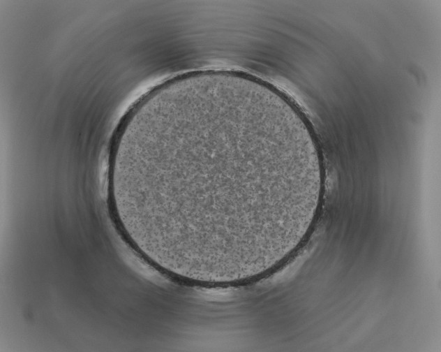 X0000113261126200910081334