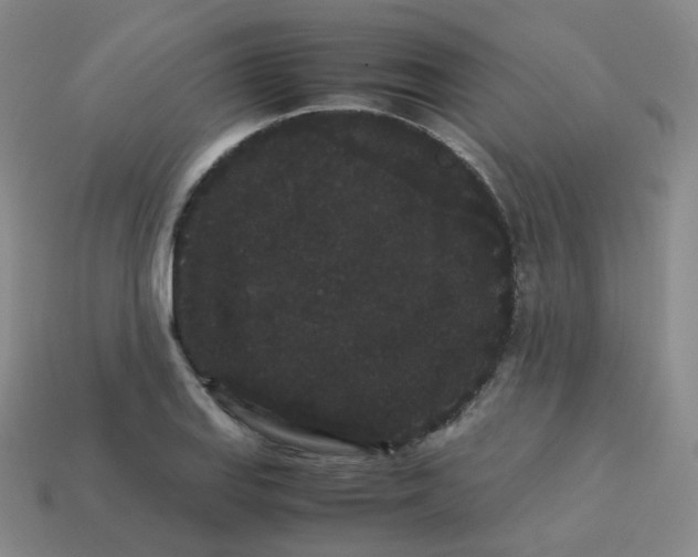 X0000113261127200910081334