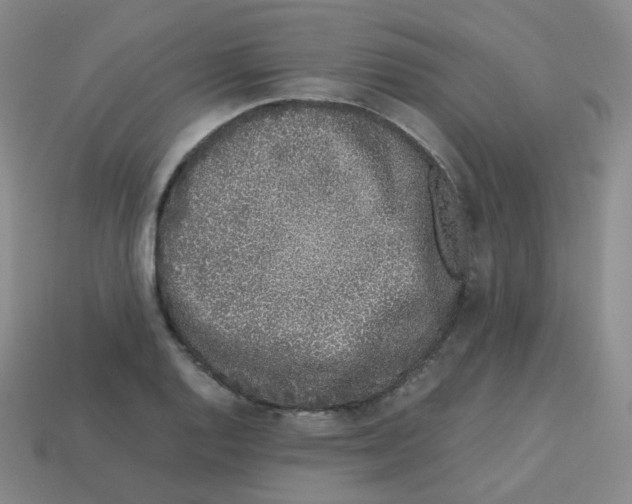X0000113261128200910081334