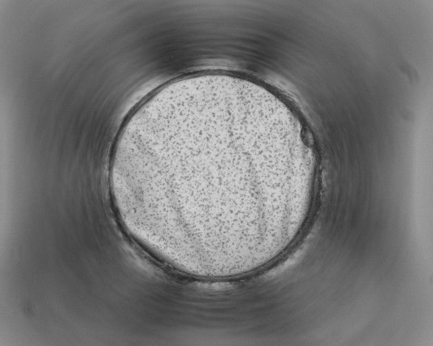 X0000113261129200910081334