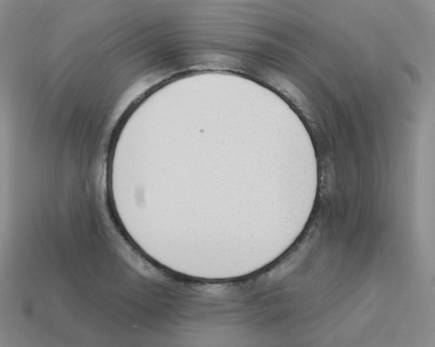 X0000113261130200910081334