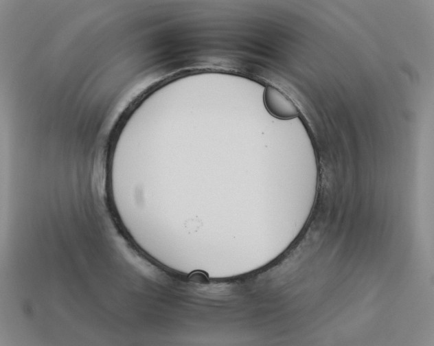 X0000113261131200910081334