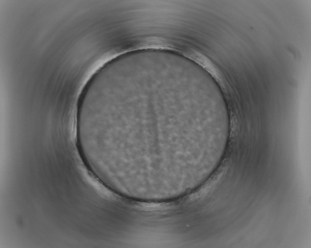 X0000113261132200910081334