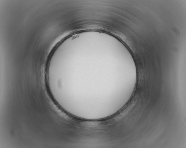 X0000113261134200910081334