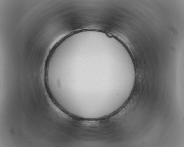 X0000113261135200910081334