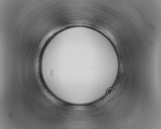 X0000113261136200910081334
