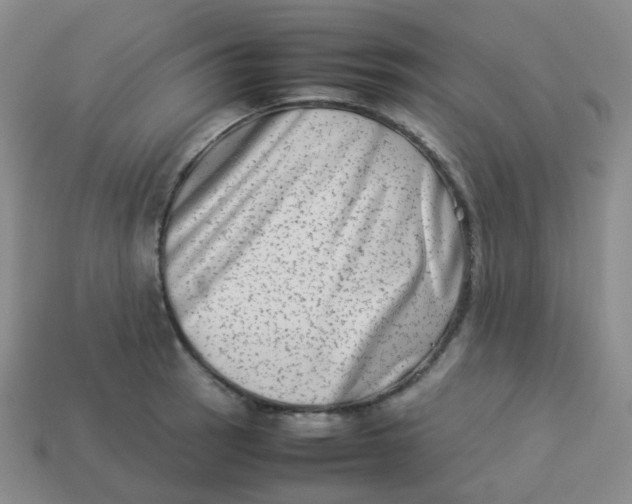 X0000113261137200910081334