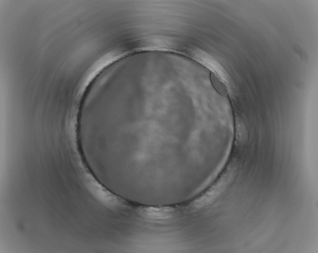X0000113261138200910081334