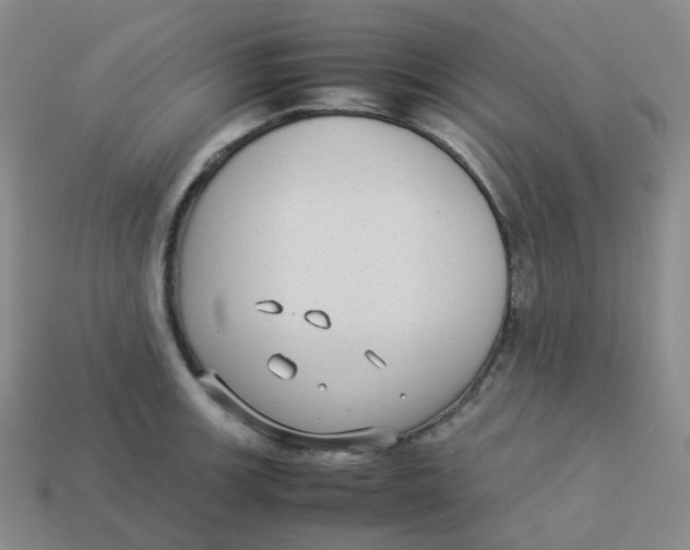 X0000113261139200910081334