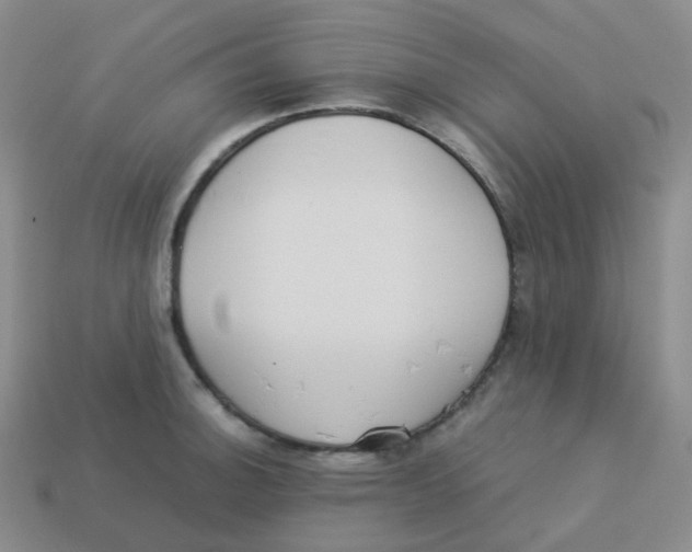 X0000113261140200910081334