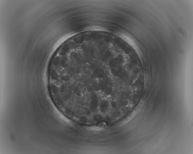 X0000113261141200910081334