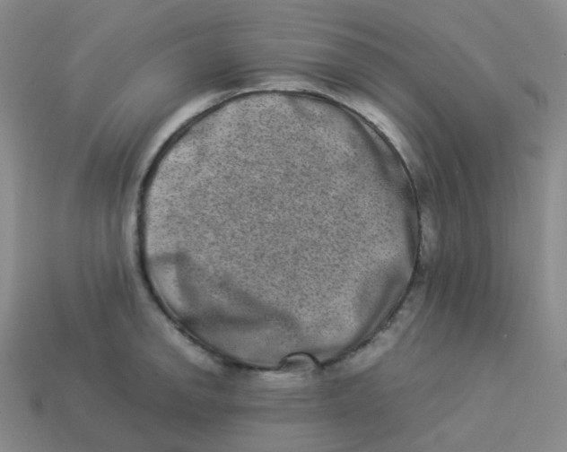 X0000113261142200910081334