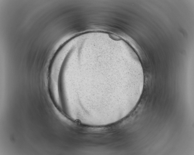 X0000113261143200910081334