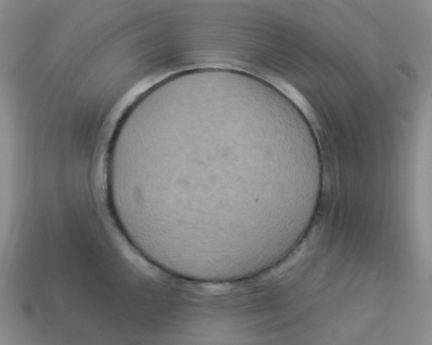 X0000113261144200910081334