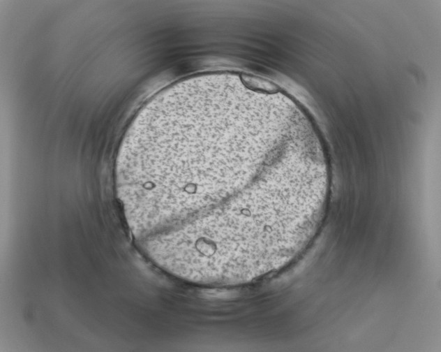 X0000113261145200910081334