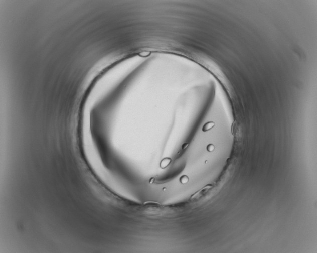 X0000113261146200910081334