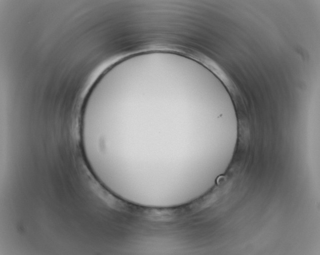 X0000113261148200910081334