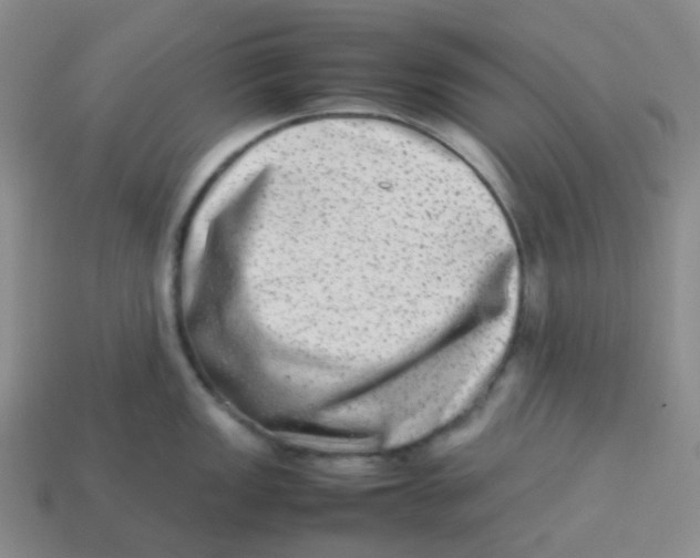 X0000113261149200910081334