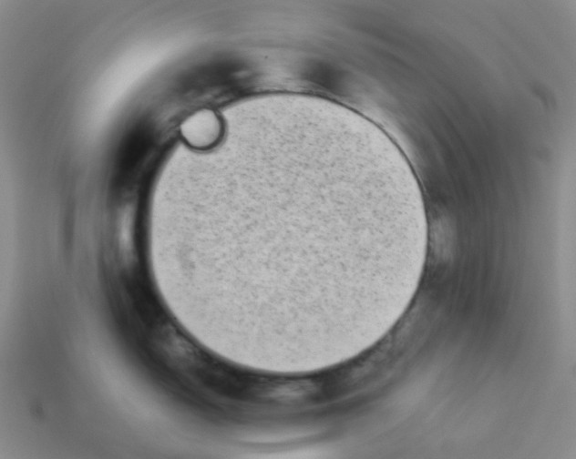 X0000113261150200910081334