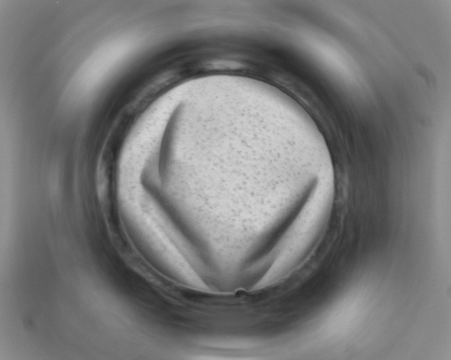 X0000113261151200910081334