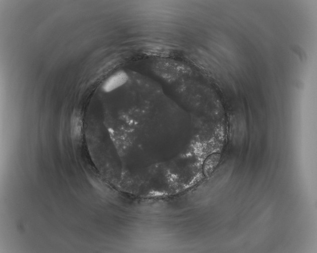 X0000113261154200910081333