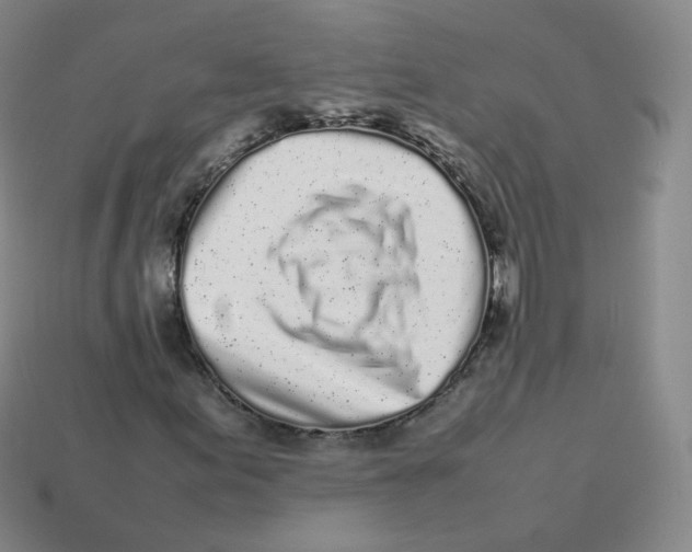 X0000113261155200910081333