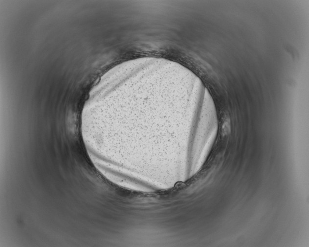 X0000113261156200910081333