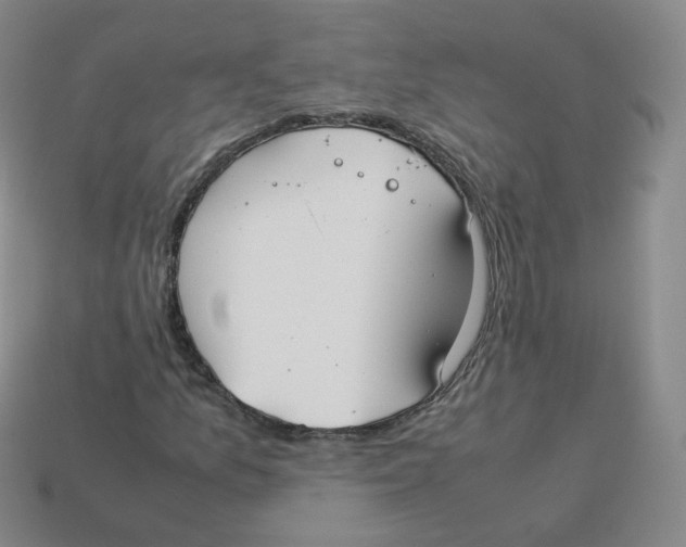 X0000113261157200910081333