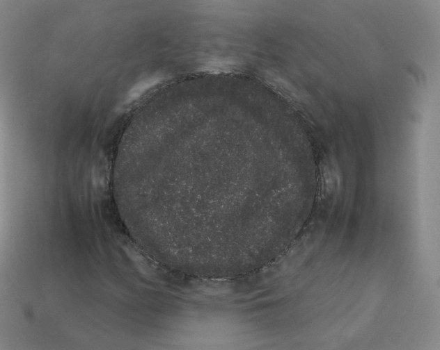 X0000113261158200910081333