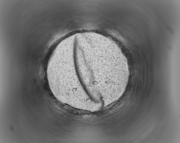 X0000113261160200910081333