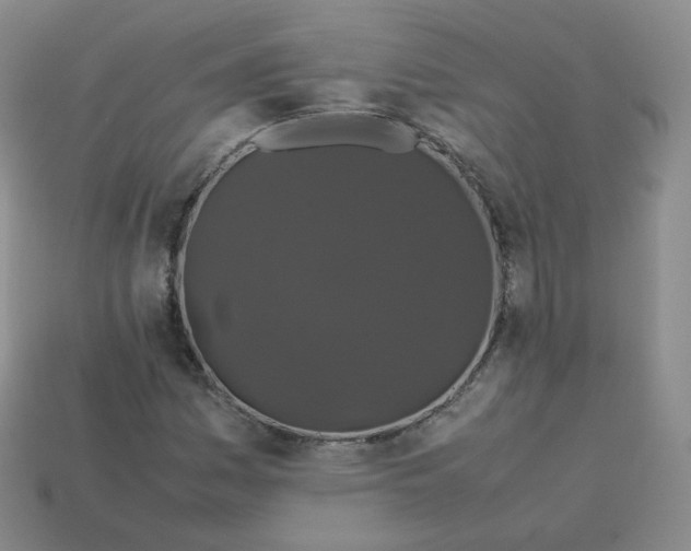 X0000113261161200910081333