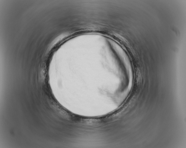 X0000113261163200910081333