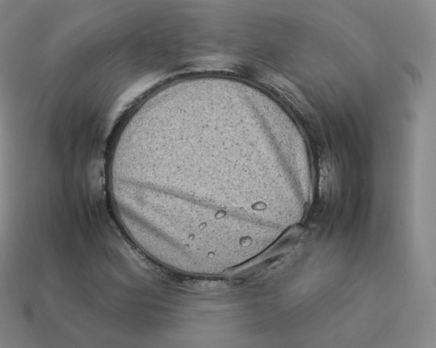 X0000113261164200910081333